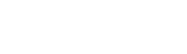 FIINBRO / SOC