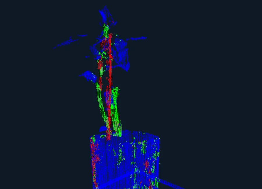 LiDAR point cloud of a plant, colored by predicted organ class: stem, leaf, and support stake