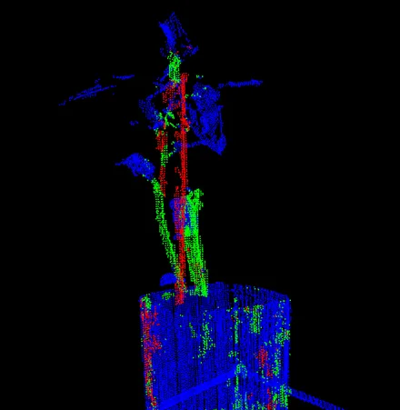 LiDAR point cloud of a plant, colored by predicted organ class: stem, leaf, and support stake